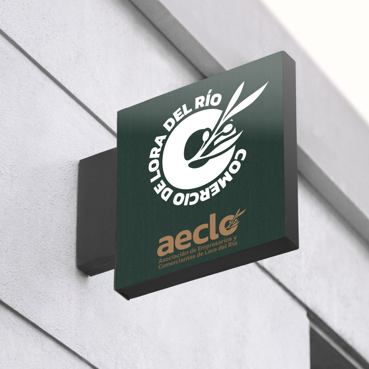 Cuota anual asociado aeclo